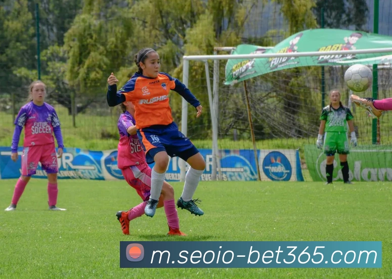 辅助工具 辅助工具